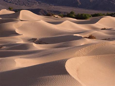 沙中土命是什么意思 搖籃到大門意思